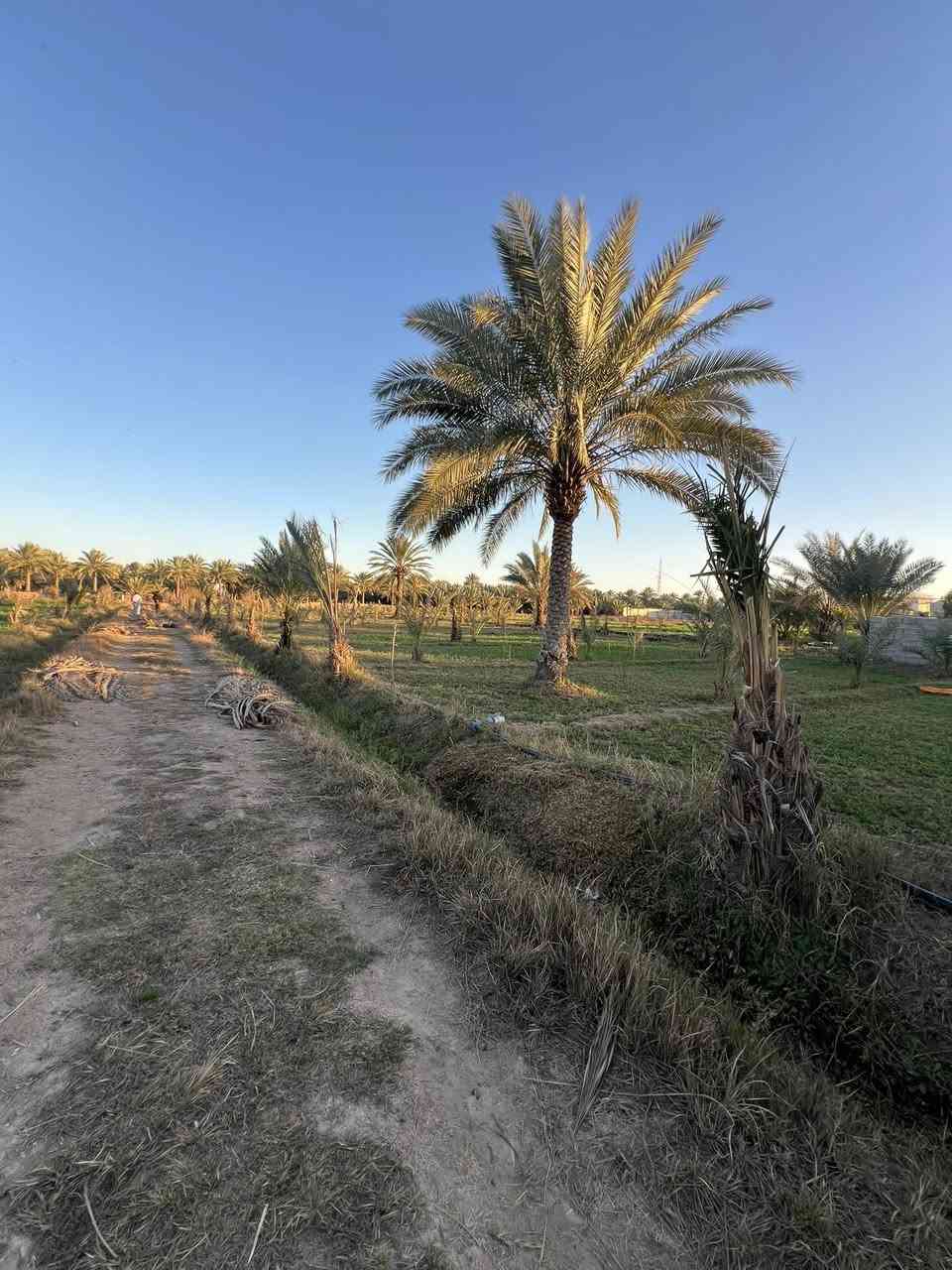 بستان للبيع سند24 الموقع كربلاء الحسينية الإبراهيمية خلف إذاعة كربلاء 
أربع دوانم وجه 65 م ولباقي نزال 
كل الخدمات 
تبعد عن الشارع العام 700متر 
للأستفسار أتصال ***********
