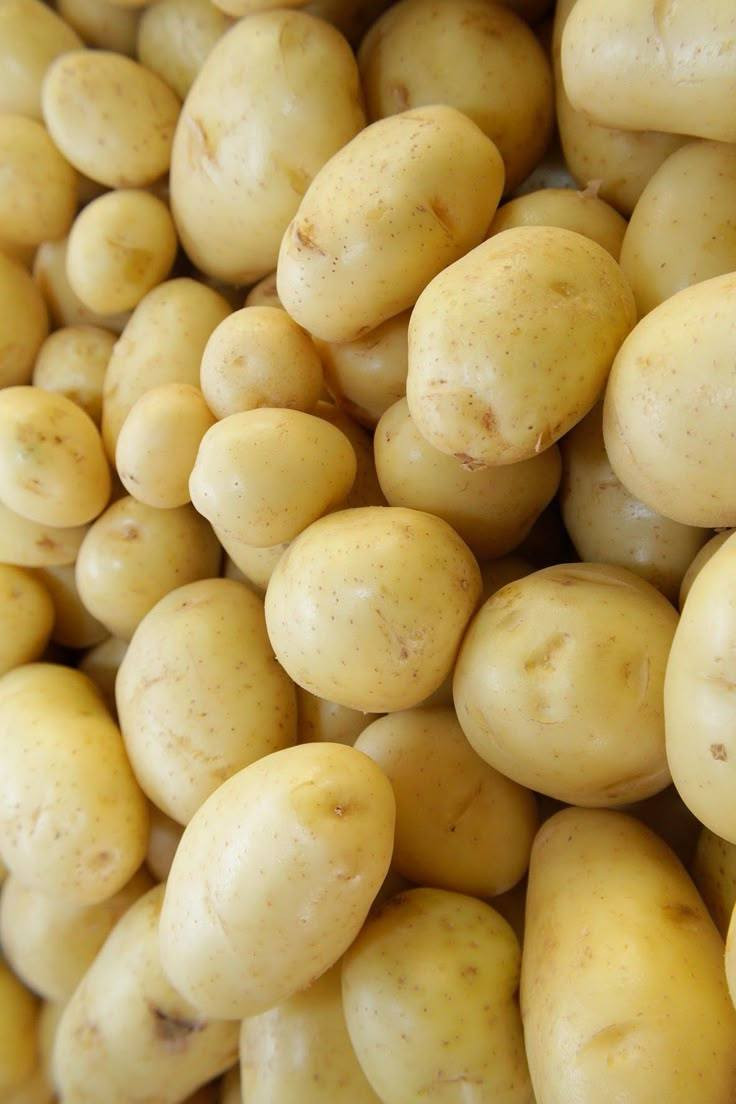 العنوان الناصريه حي الرافدين قرب جامعه العين


**إذا كنت صاحب هذا الإعلان وتريد حذفه لأي سبب، رجاءا أرسل رسالة إلى الدعم الفني**