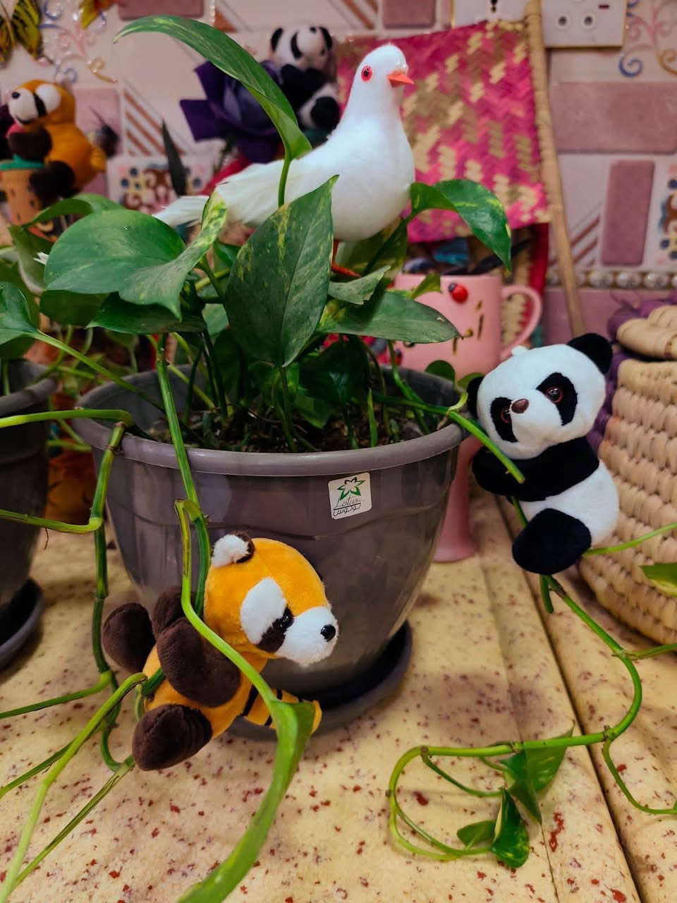 ❤️لكثرة الطلبات 🌹
🪴يتوفر لدينا جميع اكسسوارات نباتات وسنادين بلاستك نوعيه ممتازه 🦊🪴 🐼 
🚕توصيل كل محافظات العراق 🚕 
🪴الزرع لعرض فقط 🪴 
يتوفر جمله ومفرد 🐼 🦊 
حجز على خاص ☎️
📞***********📞

🐼تتوفر لدينا جميع اكسسوارات نباتات 🐼
🪴و سنادين مختلف الأشكال والأحجام والألوان 🕊️🐝🐞🐦🕊️🦋🐦🐞🌿🍄🕊️🐞🦋🐦🍄🌿
متوفر دعسوقات 🐞 🐞🐞🐞
ونحلات لاصقه 🐝🐝🐝🐝🐝
وفراشات 🦋🦋🦋🦋🦋🦋
فطر زينه 🍄🍄🍄🍄🪴💕
1-🐼باندا او سنجاب 🐼 
 2- فطر جيس الف🍄
3-🐞دعسوقه صغير حمراء ٤٠ قطعه با الف🐞
4-🐞وسط ٢٠ وسط جيس الف 🐞
5-🐞دعسوقة خشن ١٠ قطع با الف 🐞
6-🐞دعسوقة ملون ١٠ قطع الف🐞
7-👍كف ١٠ قطع الف 👍
8-🐦عصفور ٥٠٠ القطعه 🐦
9-🪴غصن مترين رفيع  الواحد الف 🪴
10-🎊نشر ضوئيه مترين الف 🎉🎊
11-🌹🐝نحله صفراء ٤٠ قطعه با الف🌹🐝
12-🌹🍄نحله وسط ١٥ قطع الف🐝🐝
13-🌹🦋🦋🌹فراشه عاديه لصق وجهين و مغناطيس ١٠ قطع با الف🦋
14-❤️جيس ١٠ قطع  ماسك لبلاب كف 
١٠ قطع الف👍
15-🍄١٠ قطع فطر اكبر شويه الف 🍄
16-🕊️حمام وسط الف🕊️
17-🕊️حمام كبير الفين 🐝🕊️
18-🪴ماسك لبلاب الف 🌿
🦋
19- فراشات سيم صغيره  ٤ سم 4 با الف🦋
🦋٧ سم ٣ با الف🦋
🦋٨ سم و ٩ سم  ٢ با الف🦋
20-فطر ملون صغير 10 با الف🍄
21-دعسوقة ام عوده ملون جيس 10 قطع الف
22-فطر احمر كبير او صغير جيس الف🍄
23-فطر ملون  صغير او كبير جيس الف 🍄
24- دعسوقة كبير جدا الوحده الف 🐞
25-حجر مضيئه جيس الف 🟣🔵🎊🎉
26- حجر ملون فقط جيس الف 🔵🟣🎊
🪴الزرع لعرض فقط🪴 
#توصيل كل #محافظات_العراق
#بغداد #ناصريه #نباتات #ديوانيه #زرعاتي #سنادين_ورد #ديكورات #نباتات_منزلية_داخلية #نواعم #بابل #البصره #ديالي #واسط #المثني #ديكورات_خشب
#سناد #سناد_زرع #نباتاتي
