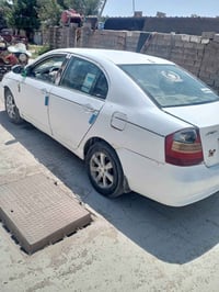 نحيفان • للبيع • واسط