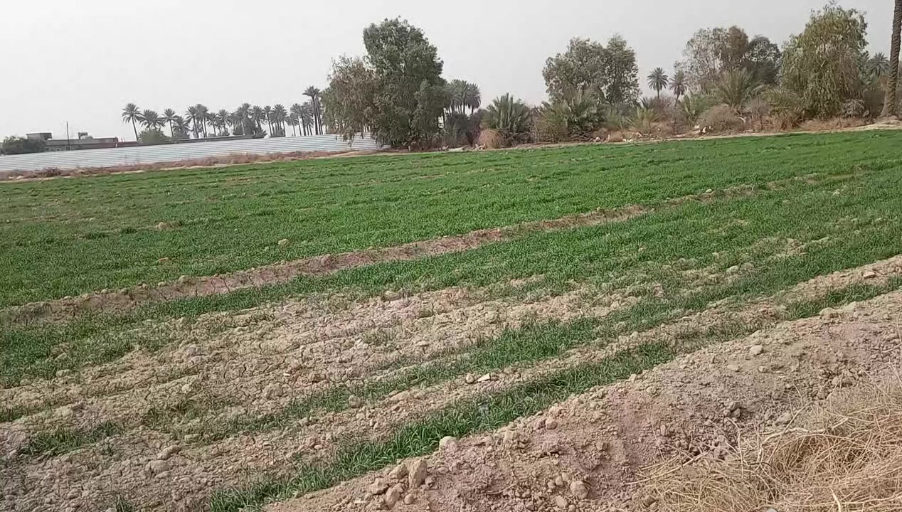 دونم او نصف دونم  للبيع موقع كلش مرتب 
الواجهه 39 بالنزال
مقابل المنتجع سند 25 تحويل حصه 
السعر جدا مناسب 
باقي تفاصيل مراجعه مكتب الفهد للاستثمار والتطوير العقاري أو مراسله الصفحه 
*********** ابو علي
*********** ابو فهد
