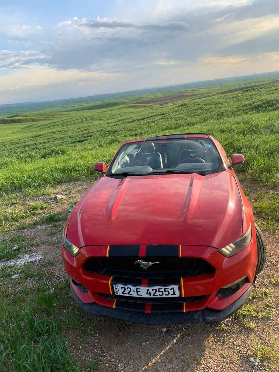 Ford Mustang / 114 $$$ ورقه 🔥 

- سلام عليكم / فورد موستانگ 2017 
- السيارة فول المواصفات سقف مرغوب 

- المواصفات السيارة …. 
- شاشة كبيرة ، كشن جلد ، كشن هيتر 
- كشن تدفئة ، كشن كهربائي ، بصمة 
- و بعد المواصفات مرغوبه يعني فوول 1/1 

- ضرر السيارة : حيزام صبخ 
- بدون دواخل و بدون شواصي بشرط
- گير محرك بشرط محرك ٤ سلندر توربو 
- السيارة بدون مصرف و بدون اي نواقص
- تخم تايرات جديد ، تخم ويل جديد
- تخم امامي جديد ، تخم خلفي جديد
- دواخل سيارة جديد ، پاتري جديد
- يعني السيارة بدون مصرف و بدون نواقص بشرط

- السعر رخيص / 114 $ ورقه و مجال
- مكان السيارة : دهوك
- الهاتف : 0750.773.29.95


**إذا كنت صاحب هذا الإعلان وتريد حذفه لأي سبب، رجاءا أرسل رسالة إلى الدعم الفني**