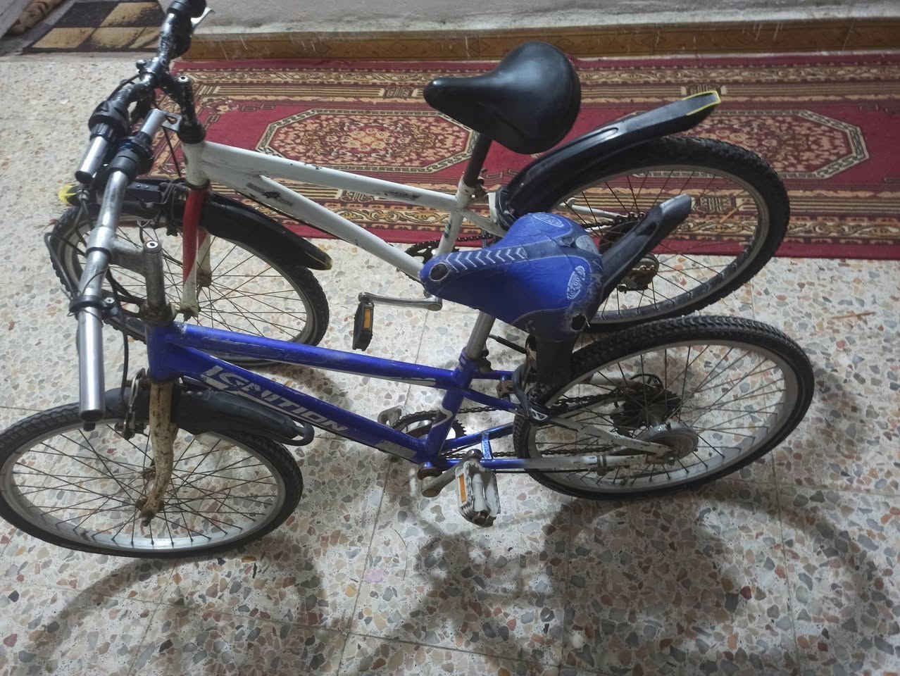 باسكلات 150بهن مجال الازرق  بنجر اثنين تواير الابيض كلشي مابي


**إذا كنت صاحب هذا الإعلان وتريد حذفه لأي سبب، رجاءا أرسل رسالة إلى الدعم الفني**