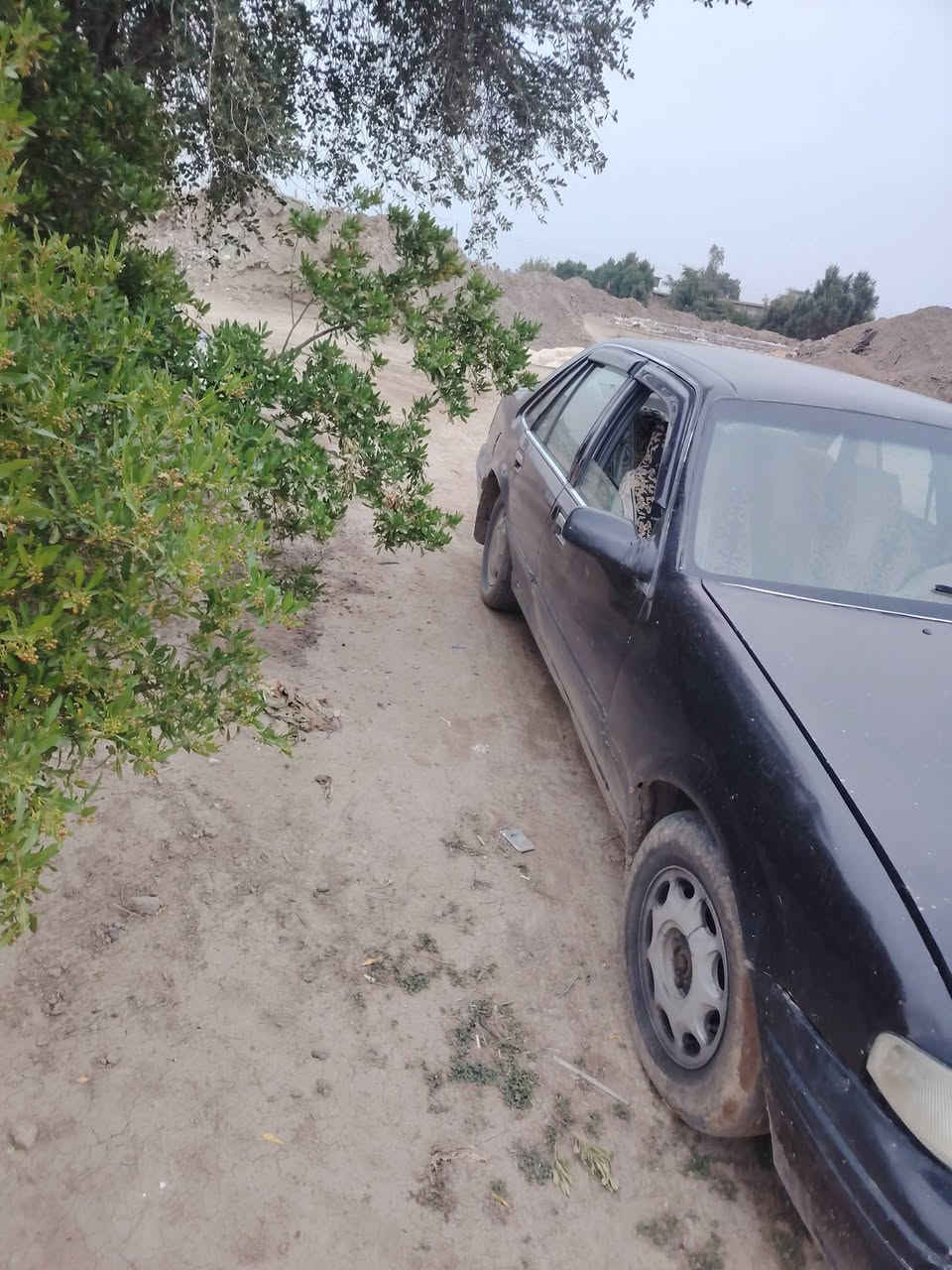 برنس 1995 سياره صبغ جديد وتعمير جديد. سنويه 2027 مصفره من الغرامات  كير محرك. بالجيس تخم تاير رقم كربلاء تحويل شوكت متريد. 25 وبيه مجال


**إذا كنت صاحب هذا الإعلان وتريد حذفه لأي سبب، رجاءا أرسل رسالة إلى الدعم الفني**