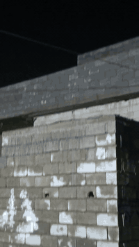 سلام عليكم باسكيل للبيع فقط شركه (كلوف) موديل 2021بس وياله مال 2017وياله ميل چاملقات موجودات نضافه فول السعر 85وبي مجال مكاني كركوك فيلق اي استفسار اتصل عل رقم ***********
