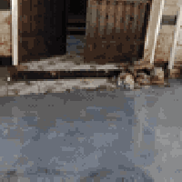 دار للبيع • ١٣٠م • طابقين