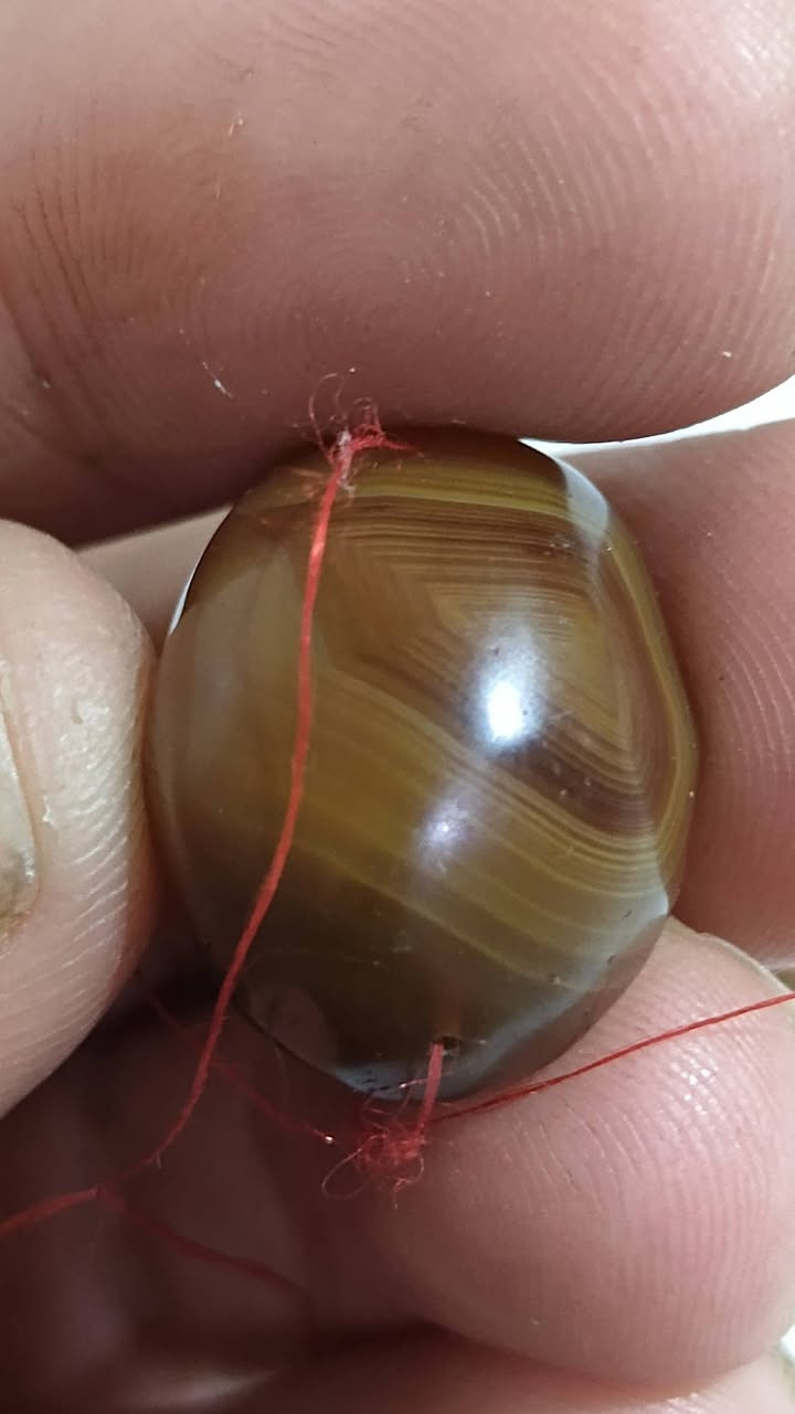 السلام عليكم ورحمه الله 
للبيع صارلهن فترة طويلة عدنا ما نعرف مصدرهن .
ذي قار الشطرة .
للعلم كلهن مزرفات .
اليرغب بشرائهن واتساب 
 ***********
