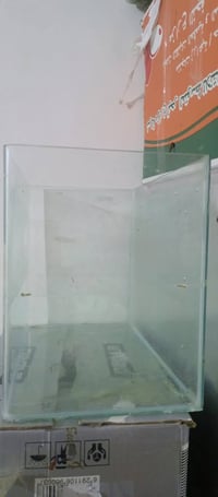 حوض سمك • نجف