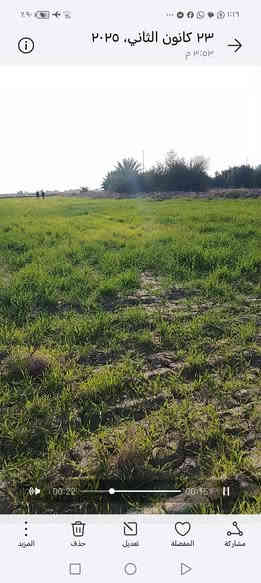 للبيع دوانم طابو زراعي سند 25 وجه علئ شط الفرات متوفر فيها الماء طوال سنه فيها الكهرباء والمدارس ومحاطه ببزول وفيها نخيل واشجار الكميه من 10 دونم الئ 1000 دونم سعر الدونم 3 مليون *********** محافظه الديوانيه تبعد عن الحمزه شرقي 30ك وعن الرميثه 30ك
