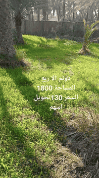 🔸المساحة 1800 
السعر 130 تحويل اسهم 
الموقع كربلاء شارع بغداد عمود 260 وتنزل 600 متر منطقة عون مباشر علئ سجة القطار كل الخدمات متوفره باقي التفاصيل اتصال
***********
***********
