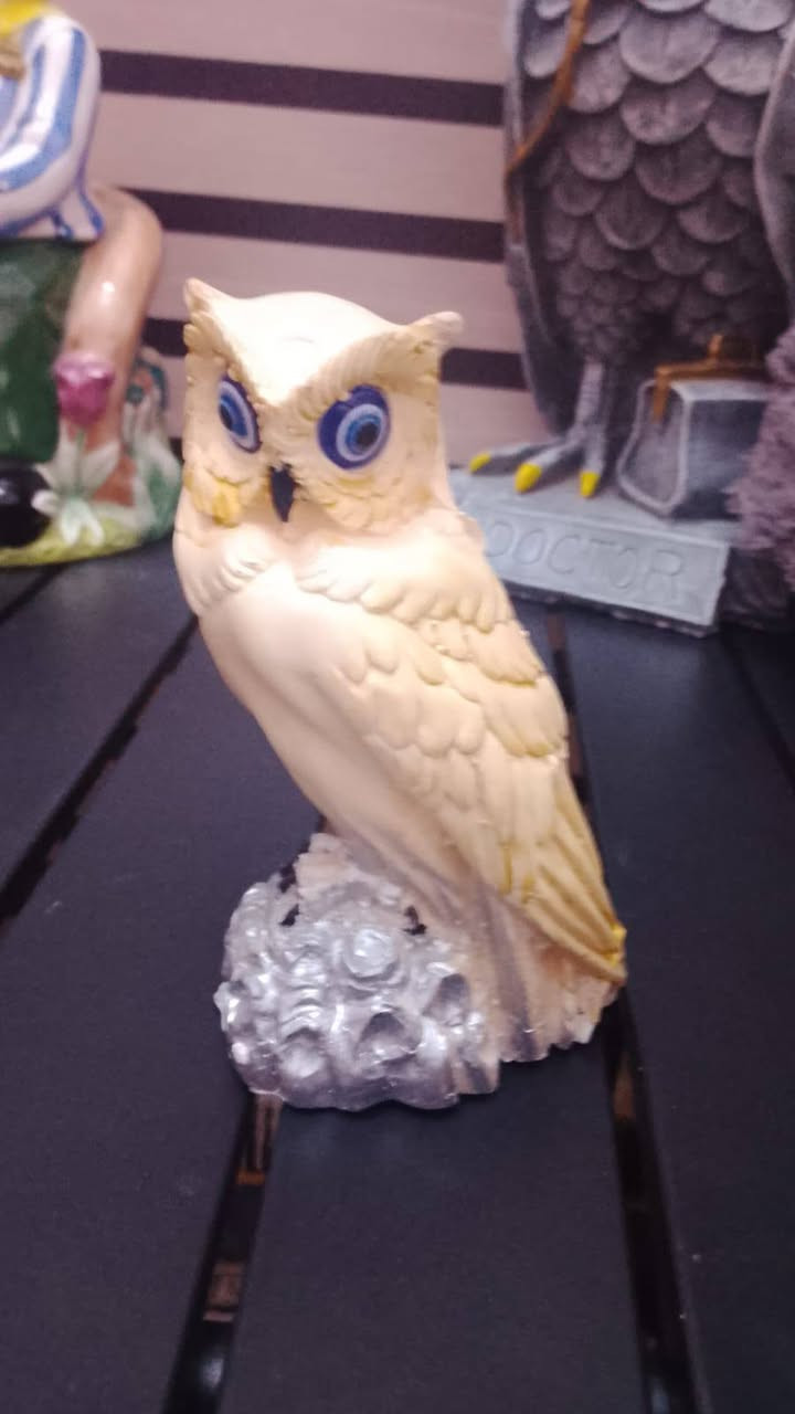 العنوان سكان الصناعي السعر اي حاجه 5   }***********
