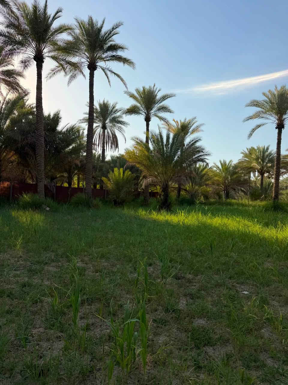 فرصتك لامتلاك الرفاهية 💎
لكل من يبحث عن التميز 

والهدوء، نقدم لكم عقاراً 

بمساحة (1.300 ألف ):!

[كربلاء المقدسه منطقه العسافيات   ].​

​لا تفوت فرصة المعاينة 

 على أرض الواقع!🏝️🍇🍏🍊🍋🍑

 السعر (115) مليون 

للمزيد من المعلومات:

مكتب كربلاء للعقار 

***********

***********
