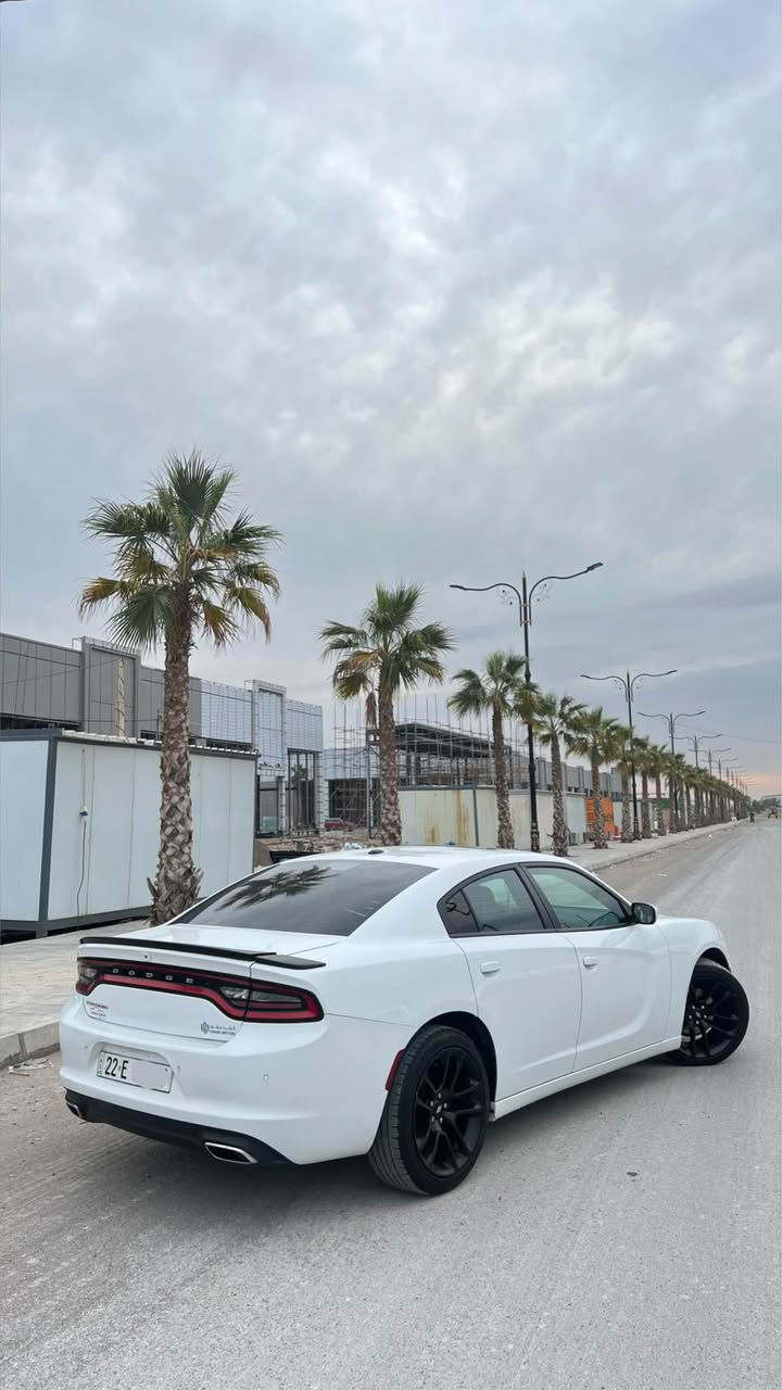 Dodge charger 2021 clean title 

دودج تشارجر 2021 SXT Plus
کلین تایتل بدون سبغ ٣ جێی بچوک  ساردە بێ ئێرباگ پێش کەپس  کوشین جلد کوشین کارەبا کوشین سارد و گەرم  سلایت سوکان هیتەر  کوشین خەزن رەقەم هەولێر هەموو شتی بەشەرت  عنوان هەولێر  ژ.م ***********

عربي

دوج تشارجر مودیل٢٠٢١ sxt plus 
كلين تايتل بدون سبغ ٣ مكان بارد سلايد كشنات كهربا كشنات جلد و تدفئة تبريد كشن خزن كلشي بشرط رقم اربيل مكان اربيل  *********** أربيل, العراق
