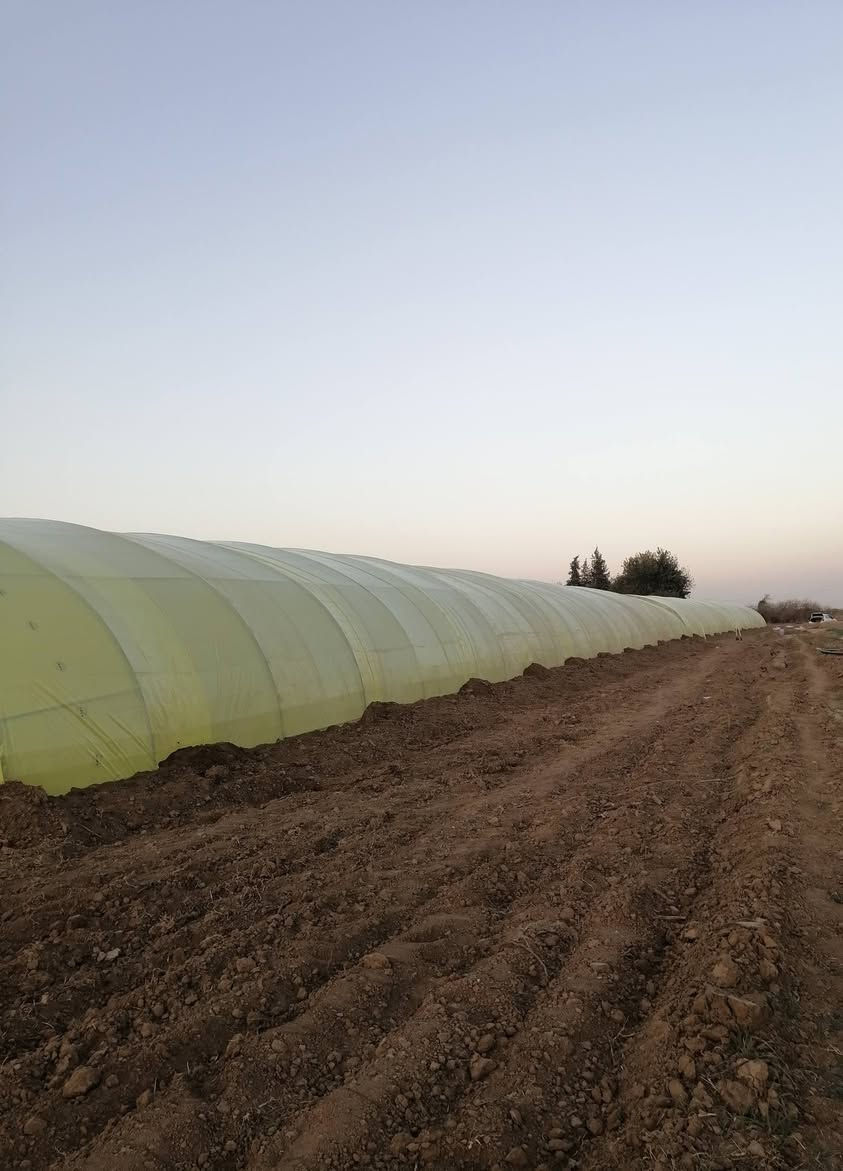 كادر النمرود يرحب بكم بأدارة نجم
(طريق الفلاح ) موسم الزراعة في البيوت المحمية
 تركيب وتغليف جميع انواع البيوت البلاستيكية
تبديل الموقع بيع وشراء للتواصل 
***********
