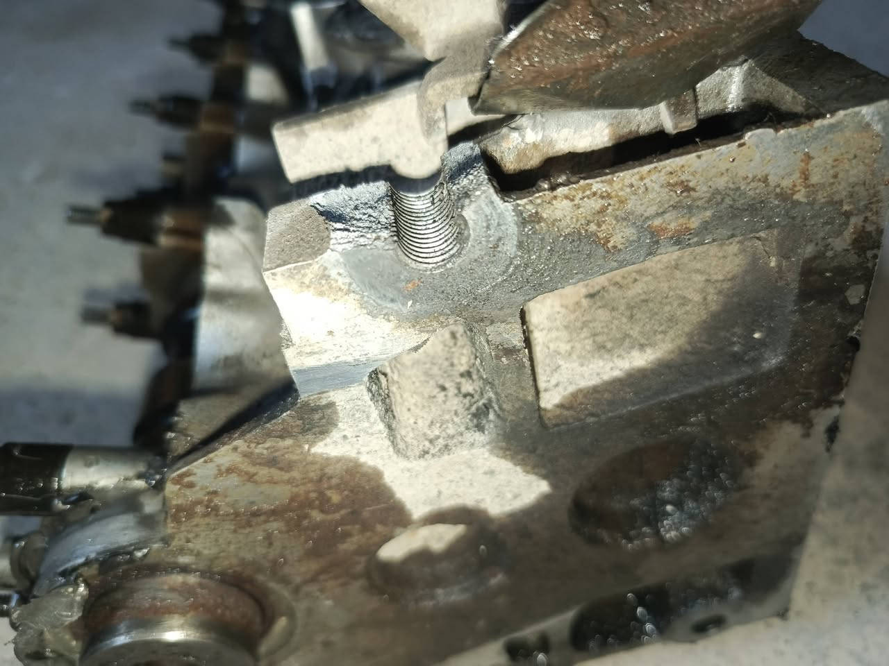 كور سمند للبيع مكصوص مره وحده عدل مابي اي عواج بس الشيال مكسور السعر 40 بيه مجال *********** مكاني بغداد ناحيه الوحده قرب مجمع بسمايه
