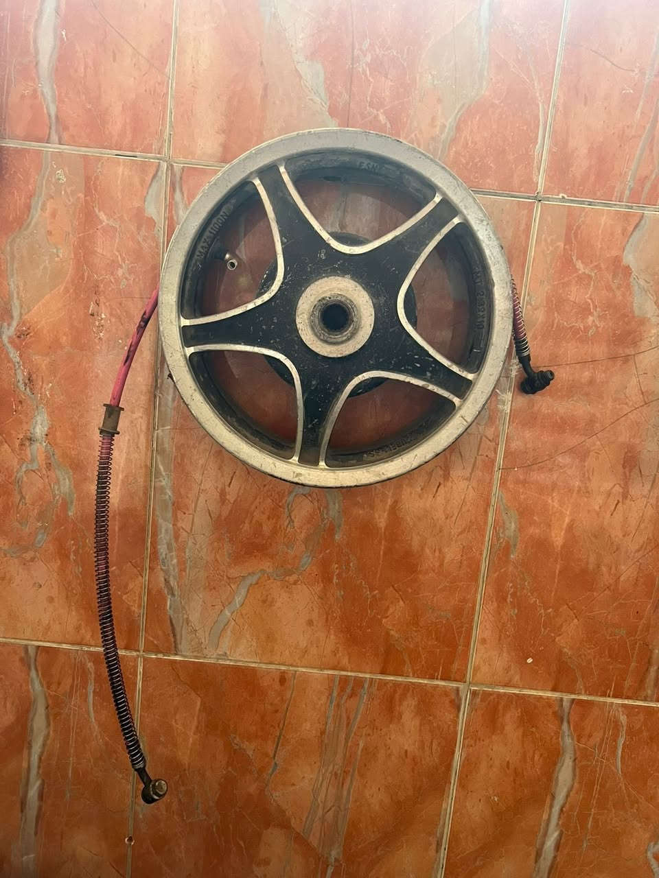 سلام عليكم شباب ويل كم ماكس ١٢٠ نجمه اصلي او صالنصه ماكس ١٢٠ صجميه اصليه مكاني بغداد للستفسار ***********
