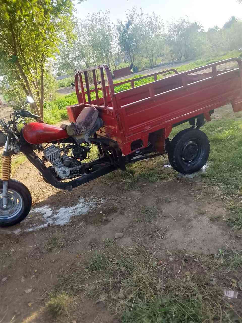 سلام عليكم ستوتات لبيع اثنين مكفولات  انضاف وحده امتي ار مكفوله عاوزه بس كهربائيّات مكينه جديد والثانيه دايون سنويه عاج مكفوله كهربائيّات كامله لايت بك لايت كامله باقي مواصفات عل رقم *********** مكاني واسط زبيديه ام اسنيم
