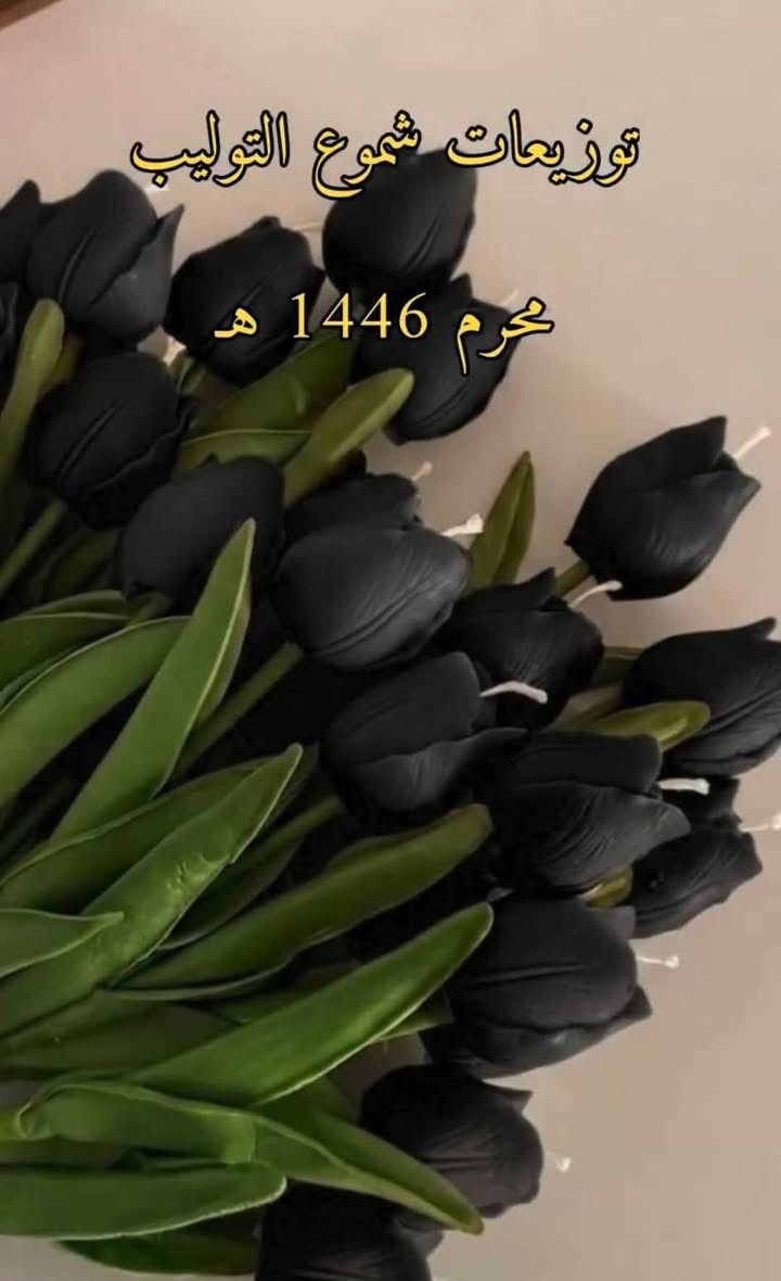 🌷🕯️ توزيعات شموع التوليب المعطرة 🕯️🌷

أضيفوا لمسة من الأناقة والرائحة العطرة إلى مناسباتكم مع شموع التوليب المعطرة، المصنوعة بعناية لتكون هدية جميلة وتوزيعة مميزة.

✨ عطور فواحة وثابتة
✨ تصميم أنيق مستوحى من زهرة التوليب
✨ تغليف راقٍ
✨ مناسبة للهدايا والتوزيعات والمناسبات الدينية والاجتماعية
✨ تنفيذ حسب الطلب

لأن التفاصيل الجميلة تبقى في الذاكرة... صُممت شموعنا لتمنح كل مناسبة لمسة خاصة.

📩 للحجز والاستفسار عبر الرسائل.

#شموع_التوليب
#شموع_معطرة
#توزيعات
#توزيعات_النجف
#شموع_النجف
#هدايا_النجف
#نور_وورد
#هدايا
#صناعة_يدوية
#النجف_الاشرف
#العراق
#najaf
#iraq
#اكسبلور_العراق
#fyp_iraq


**إذا كنت صاحب هذا الإعلان وتريد حذفه لأي سبب، رجاءا أرسل رسالة إلى الدعم الفني**