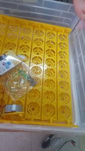 السلام عليكم مفقس للبيع. السعه 112 بيضه مطلع منه وجبتين والتفقيس خير من الله وطريقه اسخدامه على اليوتيبوب المكان ميسان الميمونه السعر 125 اخواني هاي كل التفاصيل اذا مو شراي لا طبلي خاص


**إذا كنت صاحب هذا الإعلان وتريد حذفه لأي سبب، رجاءا أرسل رسالة إلى الدعم الفني**