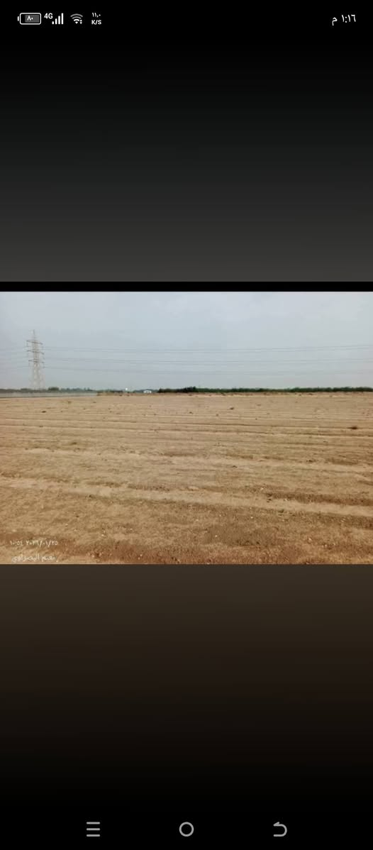 سلام عليكم اخواني عندي مزرعه للايجار المكان البصره أم قصر بل هدامه ***********
