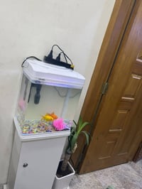 عندي حوض سمج للبيع السعر 50 الف وبي مجال لاتصال 07723589197 المكان الص...