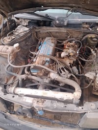 السليمانية • بدون حوادث • زينة