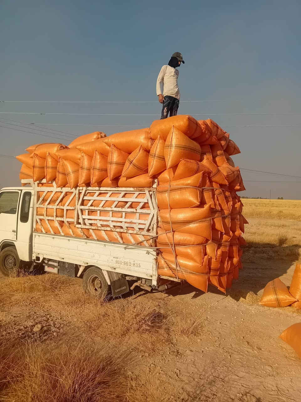 السلام عليكم تبن للبيع حجم الكيس أبو 60 سعر الزوج مطروح بالمكان 2500 ويوجد خدمه توصيل محافظات صلاح الدين بغداد الأنبار ديالى بابل كربلاء التواصل مراسلة الصفحه أو الاتصال على الرقم ***********

