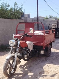 ستوته • ٢٠١٣ • اوراق اصولي