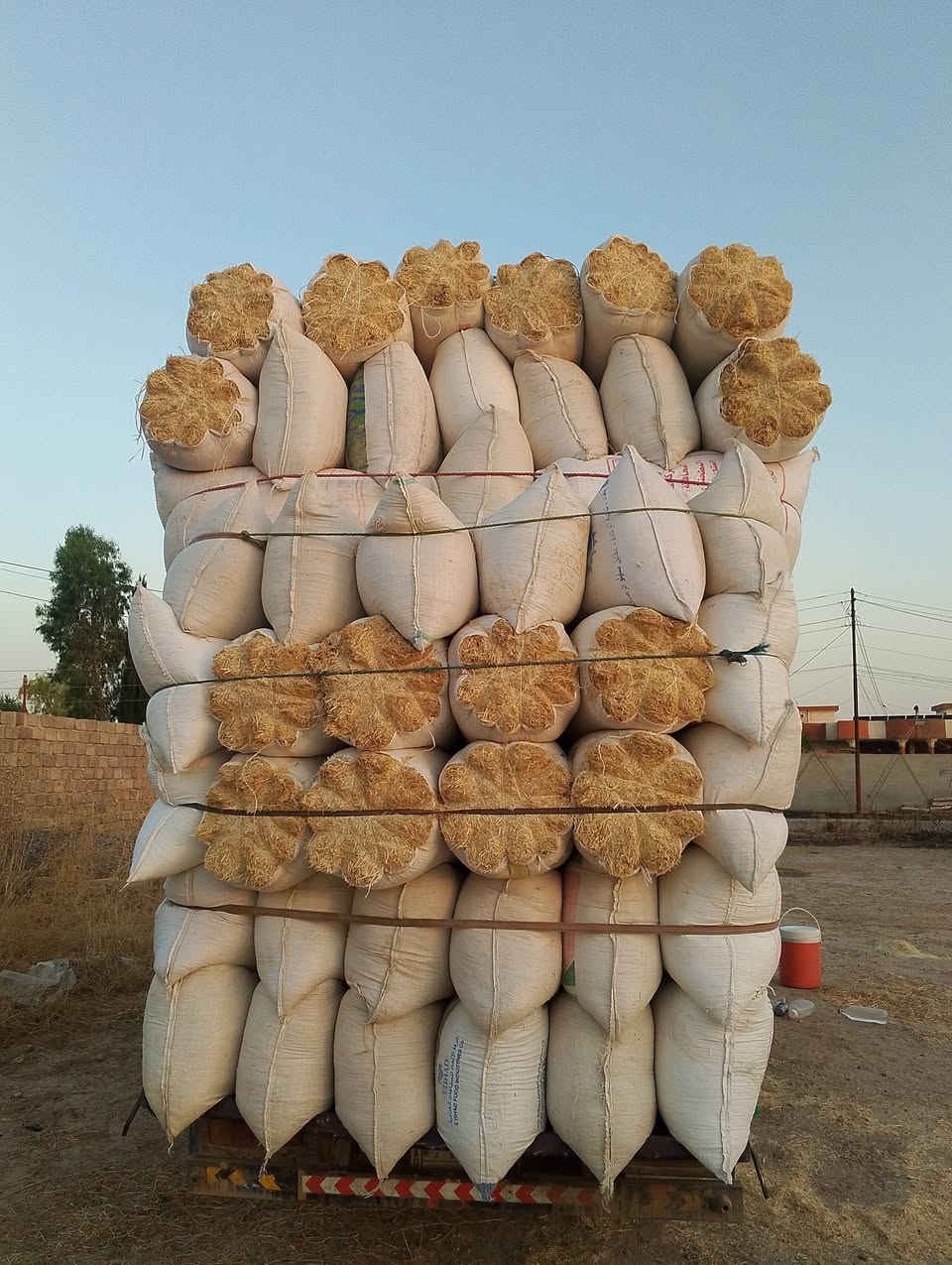 يوجد تبن للبيع
حجم 60. تبن رقم واحدة.واصل للبيت.
***********
