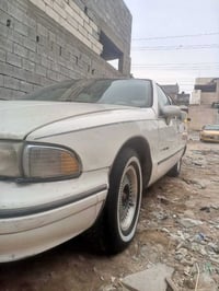 دولفين • ٩١ • ابو الخصيب