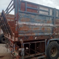 عربانة سكندرية • ١٢٫٥م