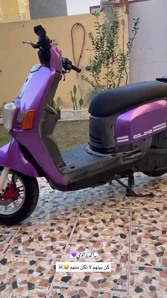 السلام عليكم 

ماكس بوليسي نوزل مكينه جديده ناعمه كلش 
تريد كفرات تجاري تريد اصلي موجود 
***********
