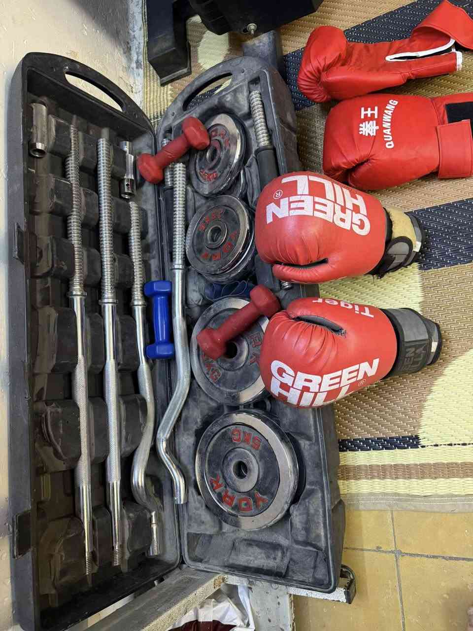 السلام عليكم
جهاز جري + جهاز جوكر مثل مموضح بل صوره +بكج حديد+قفاز وجيس ملاكمه للبيع سعرهن كلهن ب٦٠٠ وبيهن مجال مفرد او جمع

عنواني: سبع بكار سوك السمجه

رقمي: ‭٠٧٧٠ ٥٢٤ ٤٤٢٣‬

‭٠٧٩٠ ٢٩٧ ٦٩٦٠ ‬
