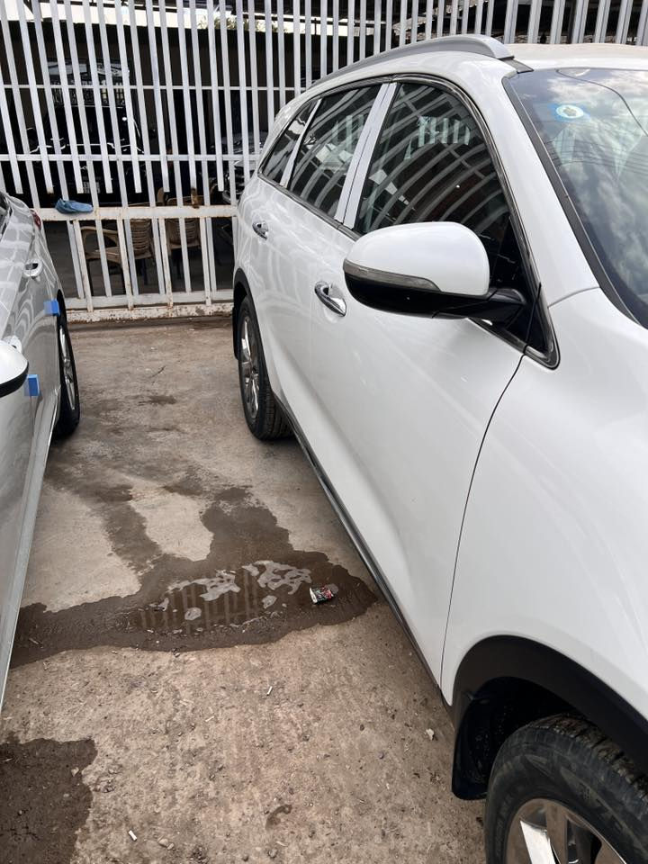 السلام عليكم ورحمة الله وبركاته
كيه سورنتو ٢٠١٩ شكل ال٢٠

خليجي رقم بغداد سنويه جاهزه تحويل ثاني يوم 

محرك ٣٦٠٠ 
٧ راكب
٣ قطع تبريد
٦سلندر 

اشاير بالمري شفط

ماشيه 119

وياها سونار

رقم الهاتف 

***********

***********
