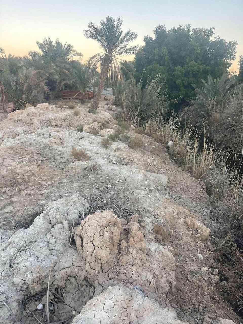 #السلام #عليكم #ورحمه #الله #وبركاته
#قطعه ارض #للبيع #طابو #ملك صرف
تحويل بسم المشتري مباشر #المساحة
900متر على #شارع تبليط 10 متر ماء كهرباء 
اناره كافه الخدمات متوفره #العنوان #بصره
#ابي_الخصيب منطقه ابو كوصره وبسعر جداً مناسب 150 مليون وقابل للتفاوض للستفسار 
عن #العقار *********** البصرة, العراق
