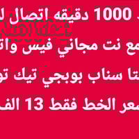 مكتب النصر • الخطوط • الصوب الكبير