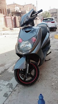 دراجه سكنس • اوراق كامله • فحل