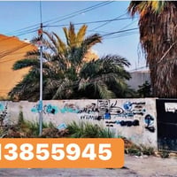 الكرادة • قطعة أرض • ٣٤٥م