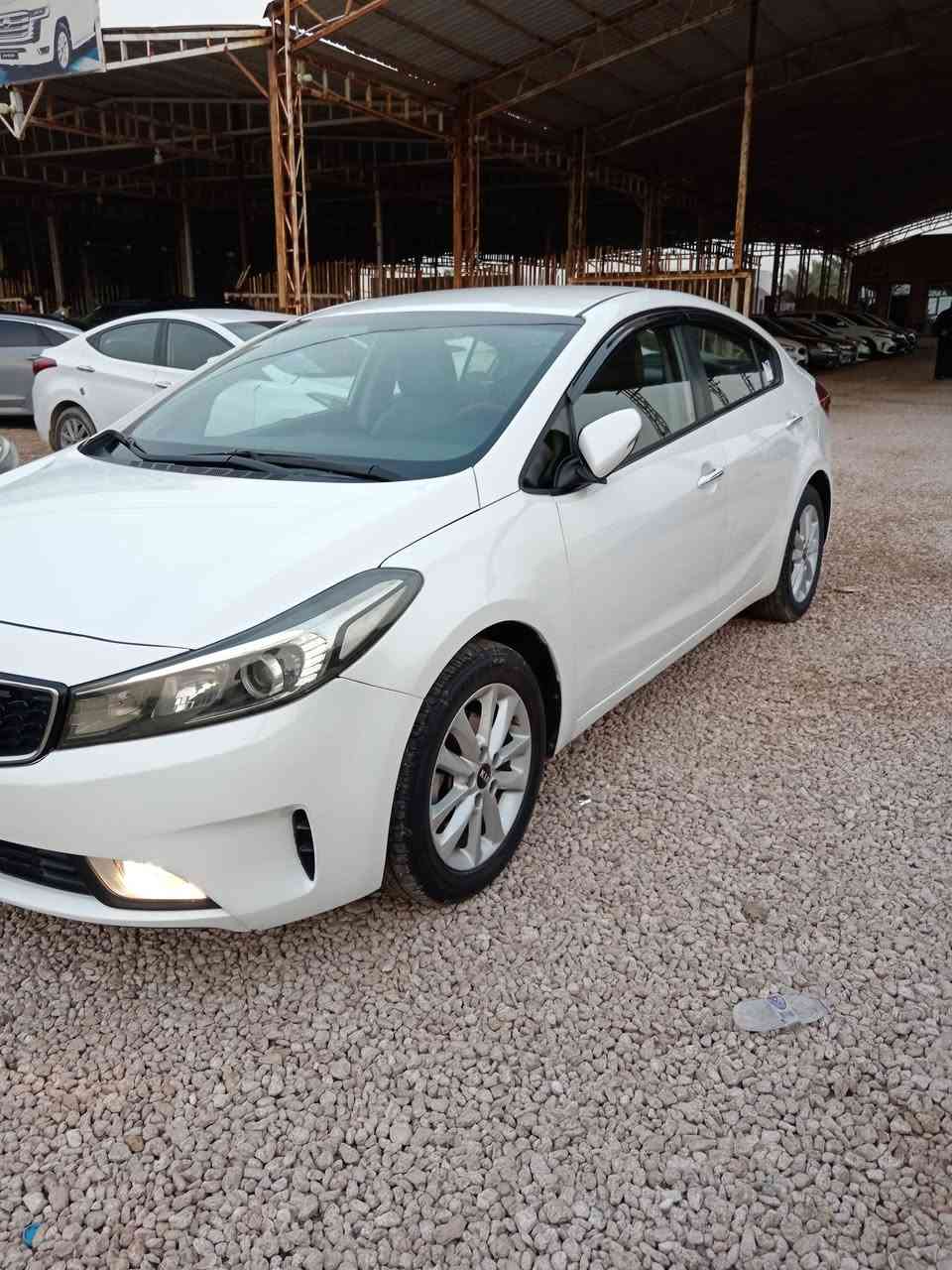 كيا سيراتو موديل ٢٠١٨ رقم بغداد دولي بأسمي مواصفات السيارة تحكم استيرن شاشه وكامره مري شفط إشارة بالمري لد امامي وخلفي بلاجكتور ويل كب ماشية ٦١ الف كيلو متر السيارة جديده بيها رشات صبغ بدون عابر السعر ١٣٥ ورقة نقد أو مراوس مكان السيارة السماوه الرميثه للاتصال *********** او ***********
