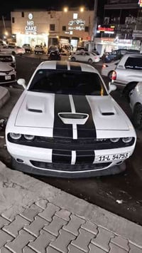 نادرا تلكة جالنجر سكات باك بهل نضافة بجمها كبس  دوج جالنجر سكات باك 20...