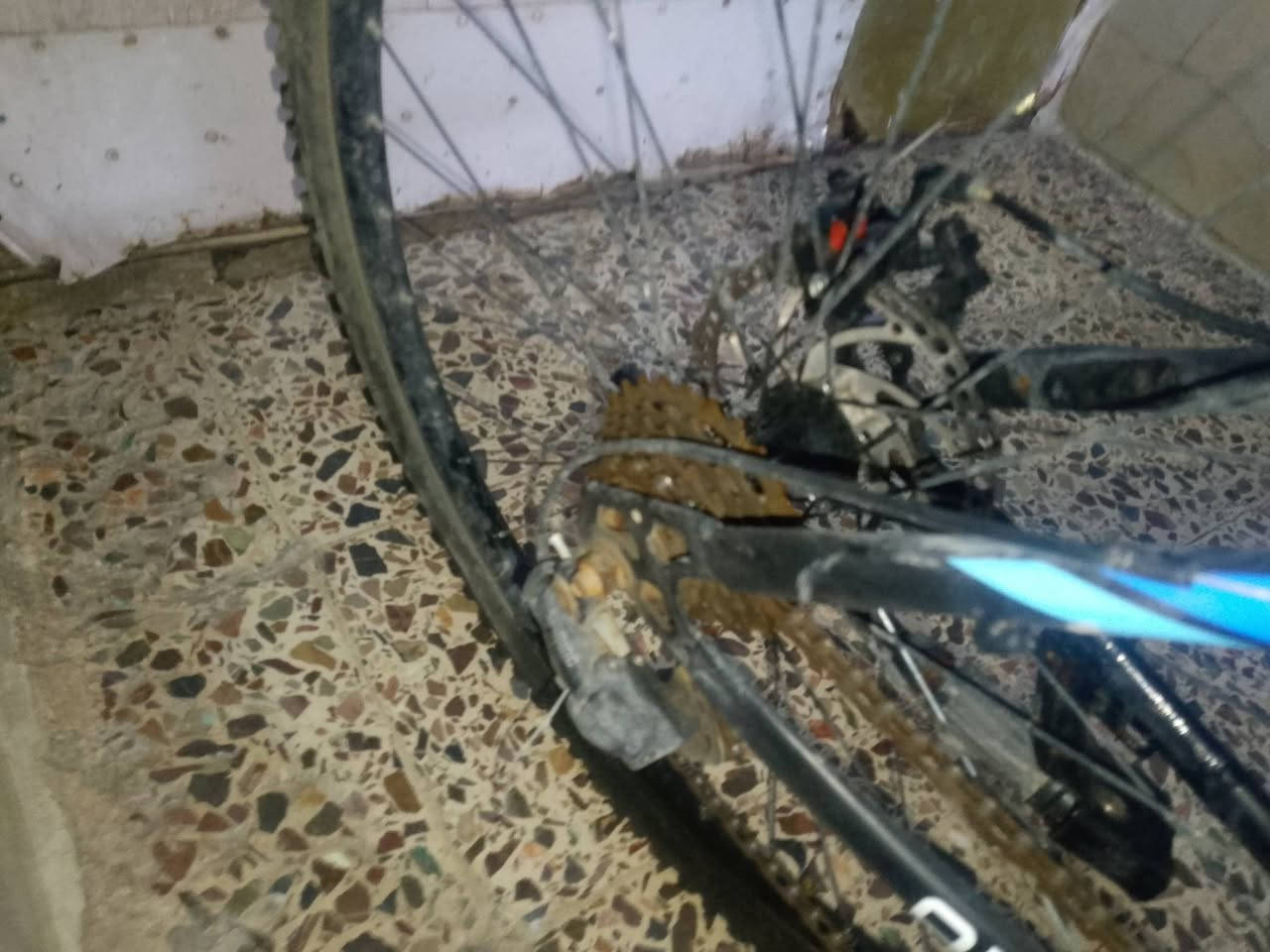 السلام عليكم بايسكل رياضي للبيع جديد غير مستعمل فقط اسبوع كلشي واضح ب صور 7نمر السعر 70 قفل نضافه 90% العنوان الغزاليه شارع الضغط الاستفسار ***********
