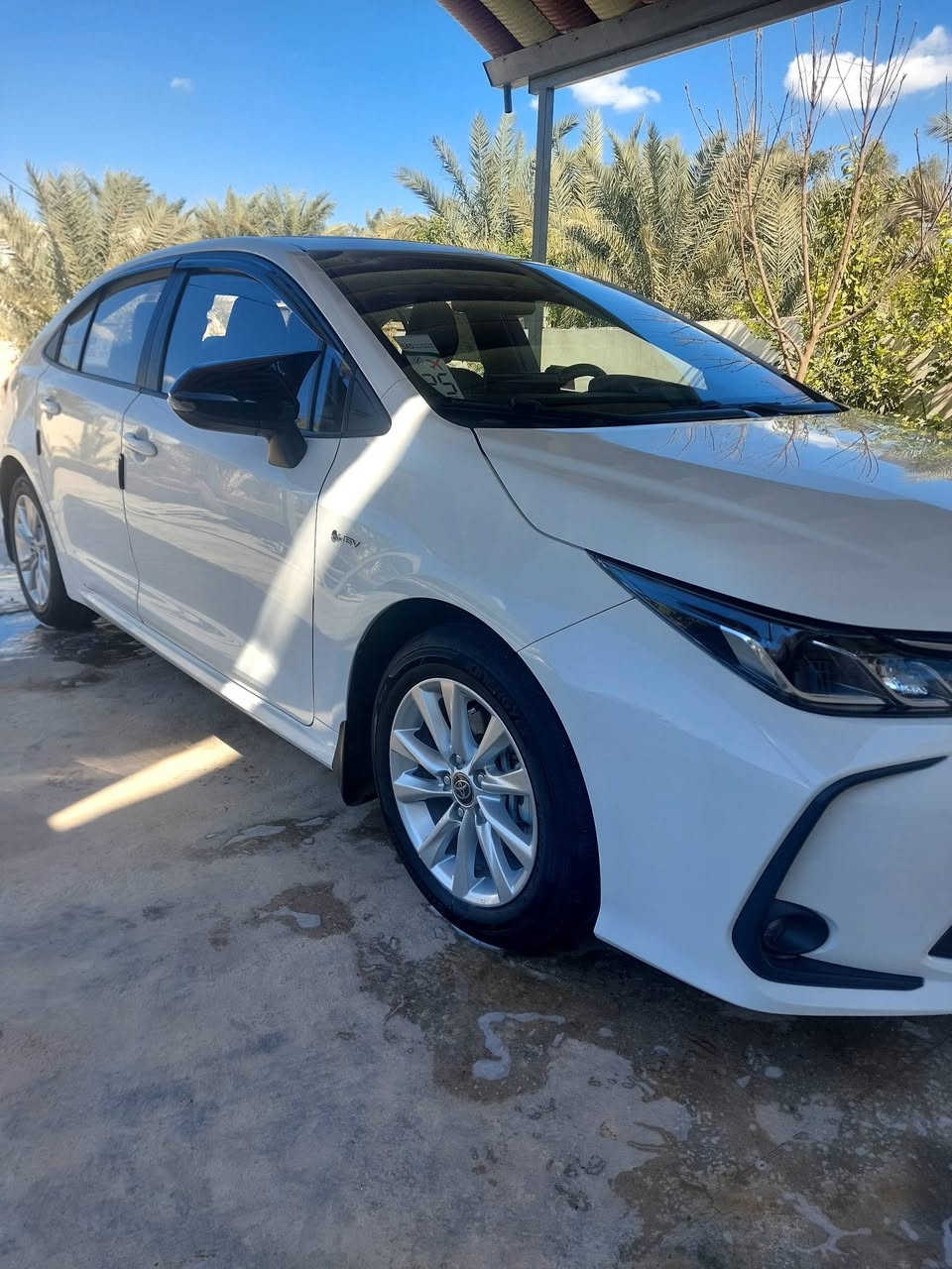 تويوتا كورلا 2025 شكل خليجي فوول مواصفات 
رمضان كريم عليكم 🌙" 

السيارة جديدة لككك ونظافة أحلا م الصور كلشي بيه بلاد  

بدون خدوش بدون رصعات بدون كلشي فطر بدعميه الخلفيه صغر

مواصفات الفول العروف بلكورله

ماشية : 12 الف وكسور 

العنوان : ديالى بعقوبه 

السعر : 150

رقم الهاتف : ***********

وبالعافية ع ياخذها 🌹
