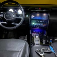 توسان ٢٠٢٣ • وارد امريكي • حادث صبغ وبونت