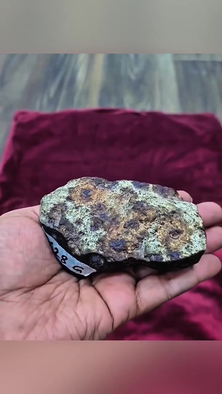 نيزك كوندريت مغربي وزنه 428غرام

#shorts​
#Meteorite #SikhoteAlin #IronMeteorite #SpaceRock #MeteoriteCollector #RocksAndMinerals 🪐
#Meteorite #Pallasite #SpaceRock #MeteoriteCollector #RocksAndMinerals 🌌
#Meteorite #Meteorites #SpaceRocks #Rockhounding #Minerals #Stones
#Meteorite #Meteorites #Tektite #Rockhounding #Minerals #SpaceRocks
#النيازك
#حجر_نيزكي
#احجار_النيازك
#عالم_الاحجار
#هواة_النيازك
#جمع_الاحجار


**إذا كنت صاحب هذا الإعلان وتريد حذفه لأي سبب، رجاءا أرسل رسالة إلى الدعم الفني**