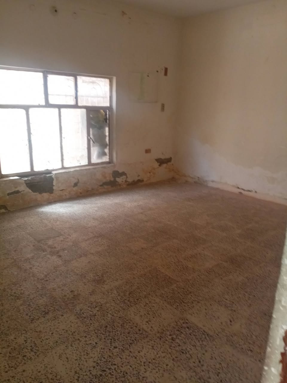 🏛️  دار سكني للإيجار 
  🏛️
____
🔰 الموقع   ام الخيل الأول   ➡️
----------------------------------------
🔳 طابو  
-----------------------------
💎 تفاصيل البيت 💎  
____
   استقبال 
🔹   ٣غرف نوم  ▶️
🔹. صاله ▶️
🔹مطبخ  ▶️
🔹مجاميع صحيه داخليه 

--------------------------------

للأستفسار أكثر مراسلة الصفحه اول الاتصال على الأرقام
___________     ____________
📲*********** واتساب اتصال  
📲*********** واتساب اتصال 
___________     ____________

او زيارة موقعنا (( ام الخيل الأولى سوق العصري مجاور بيت حواء متواجدين من الساعه 🕒 3️⃣ عصرآ إلى الساعه 🕘9️⃣ مساءً))
