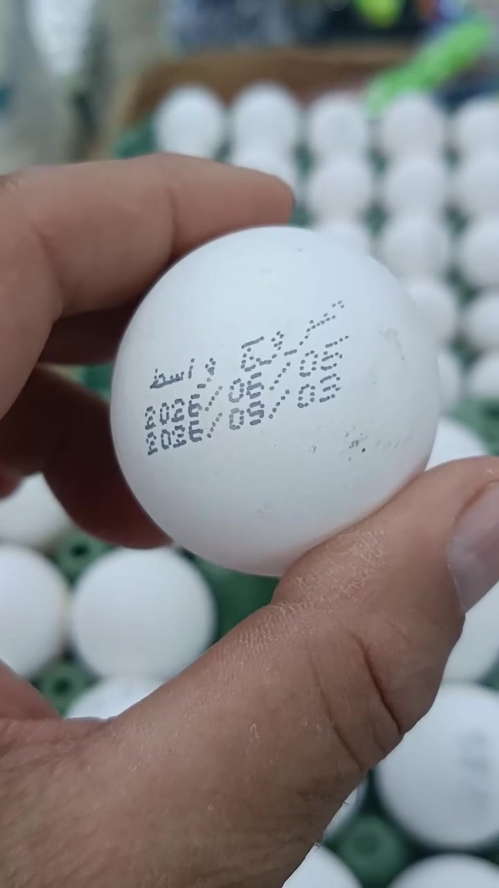 فقط ب 5000 طبقة البيض 
مجمع بركات الرحمن شارع الزيتون


**إذا كنت صاحب هذا الإعلان وتريد حذفه لأي سبب، رجاءا أرسل رسالة إلى الدعم الفني**