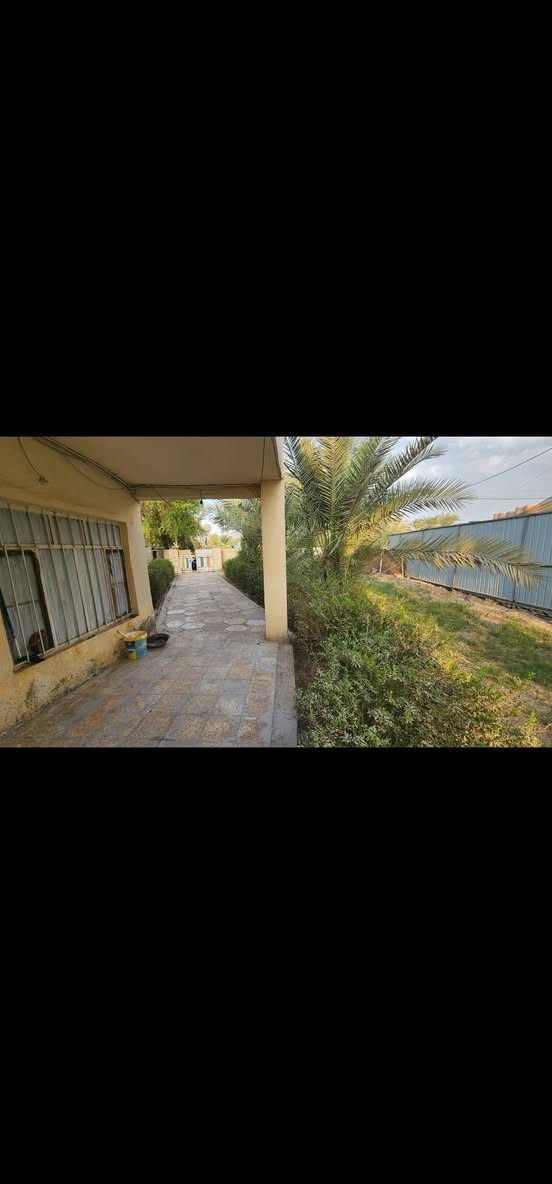 سلام عليكم
دار للبيع يقع مباشرة على الطريق السياحي بين كريطعة والعتايج مقابل شيخ ابراهيم..خمس دقائق مشيا من البيت الى محلة كريطعة..المساحة الكلية ١١٧٠ متر مساحة البناء ٢٠٠متر. يتكون من ٦ غرف كبار .للاستفسار الاتصال بالرقم *********** حلة, بابل
