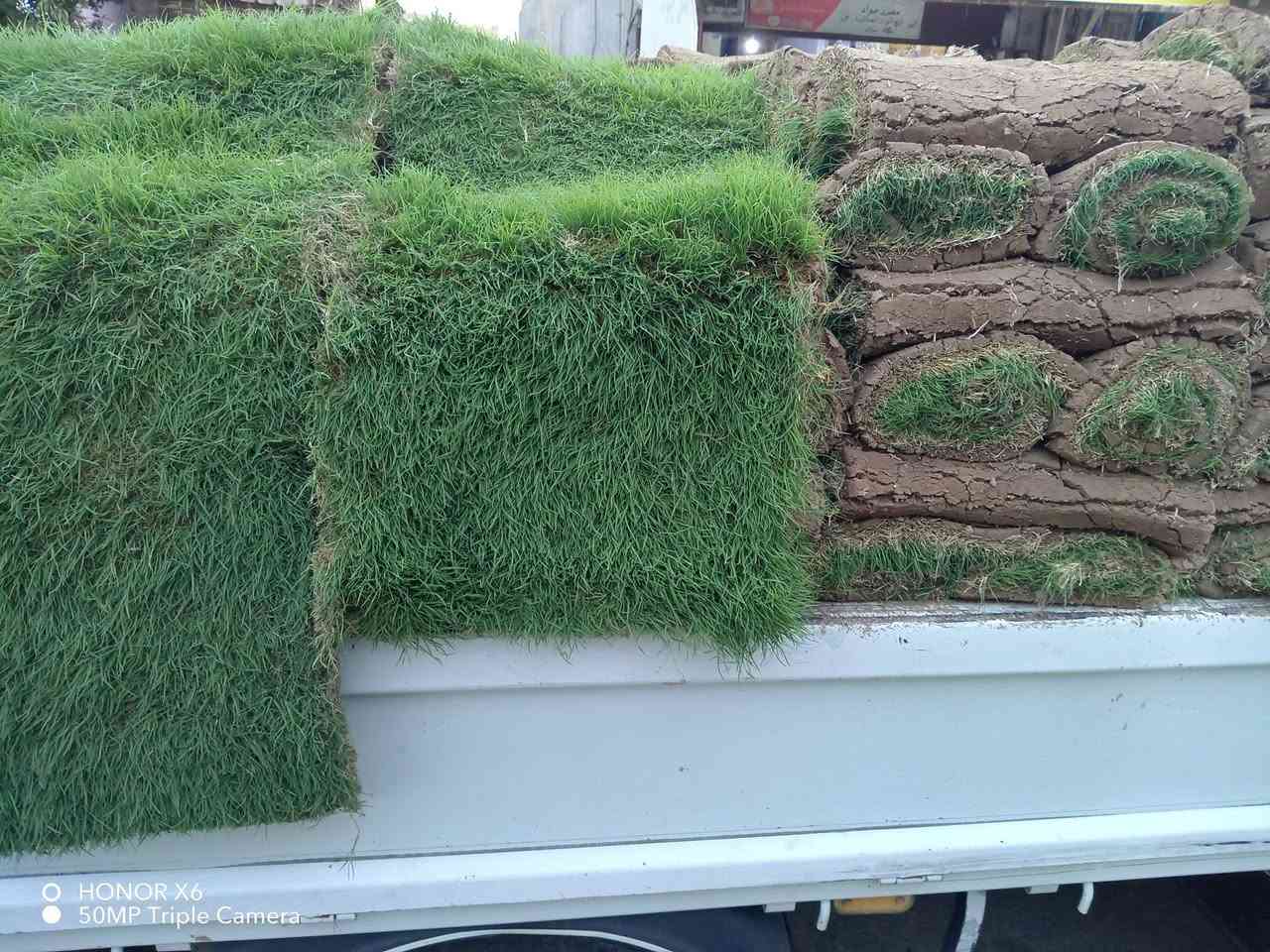 وصلتنا ثيل هندي عنوان شارع علوة مخضر قريب دائرة نفوس الاتصال ٧ ٠٧٧٠١٠٠٧١٧   ***********
