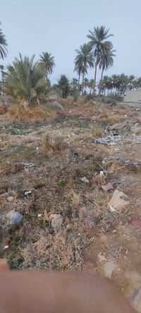 عباس مطلب • ٣٤٦م • طابو زراعي