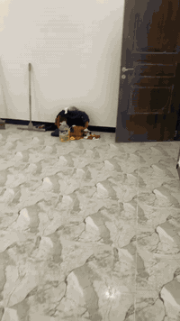 بيت للأيجار مساحه 150 متر مدخلين طابق ارضي غرفتين نوم وصاله ومطبخ وصحي...